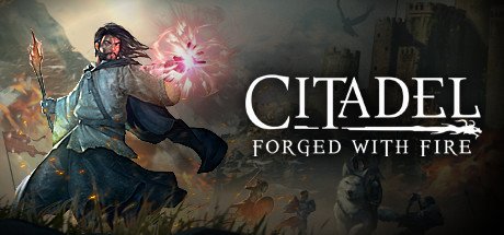 Citadel: Forged with Fire cover