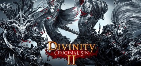 Divinity: Original Sin 2 EUROPE cover