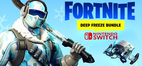 Fortnite Deep Freeze Bundle - Nintendo Switch cover