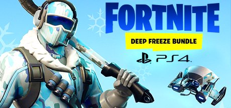 Fortnite Deep Freeze Bundle - PS4 cover