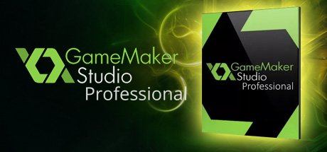 GameMaker: Studio Professional cover