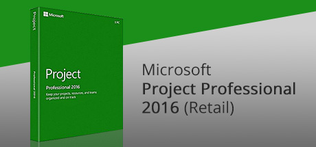 Microsoft Project Professional 2016 cover