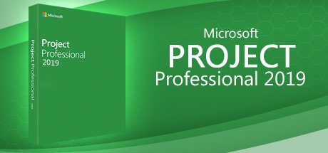 Microsoft Project Professional 2019 cover