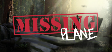 Missing Plane: Survival cover