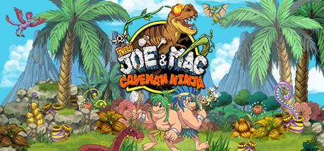 New Joe & Mac - Caveman Ninja cover