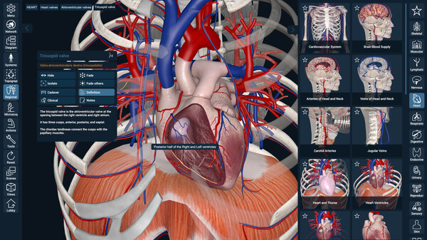 3D Organon gameplay screenshot