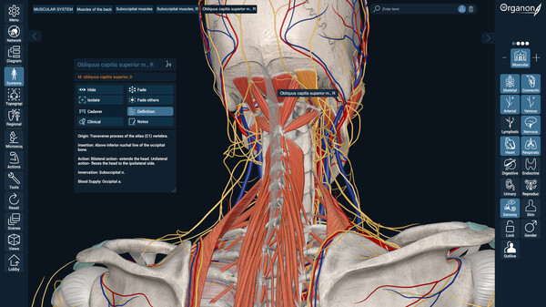 3D Organon gameplay screenshot