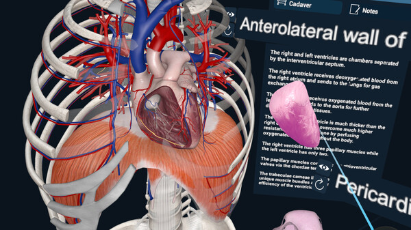 3D Organon XR gameplay screenshot