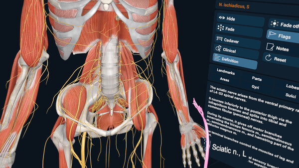 3D Organon XR gameplay screenshot