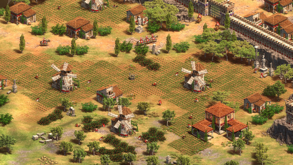 Age of Empires II: Definitive Edition gameplay screenshot