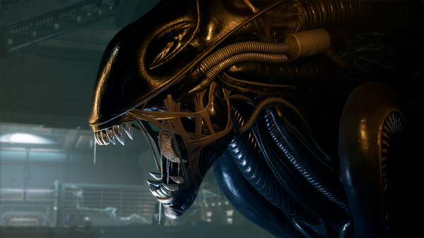 Alien: Rogue Incursion VR gameplay screenshot