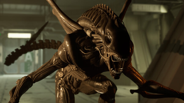 Alien: Rogue Incursion VR gameplay screenshot