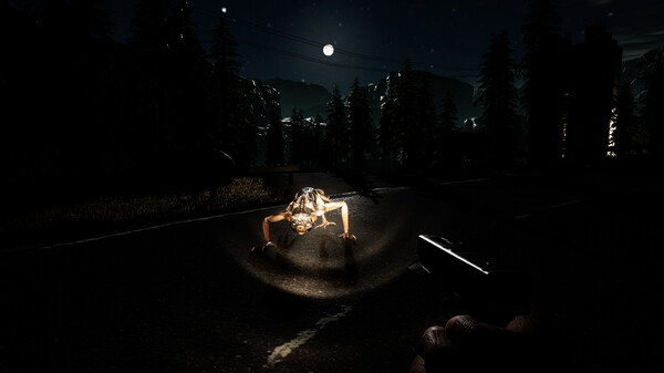 Anarchy: Wolf's law : Prologue gameplay screenshot