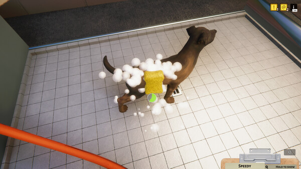 Animal Shelter gameplay screenshot