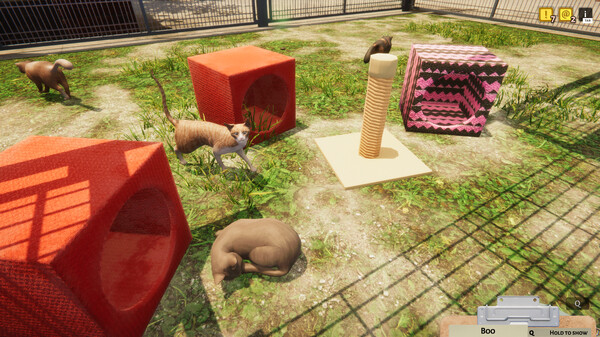 Animal Shelter gameplay screenshot