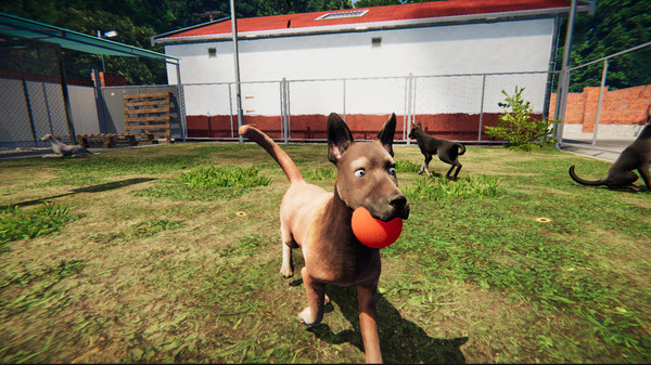 Animal Shelter: Prologue gameplay screenshot