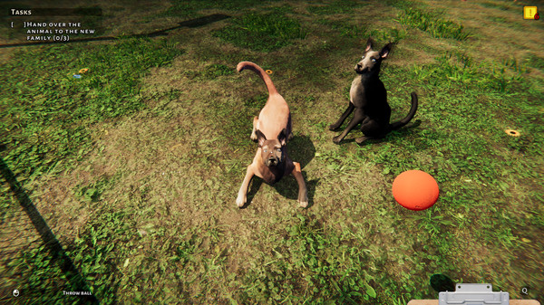 Animal Shelter: Prologue gameplay screenshot