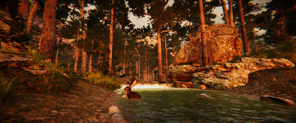 Animal Simulator gameplay screenshot