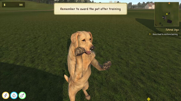 Animal Trainer Simulator: Prologue gameplay screenshot