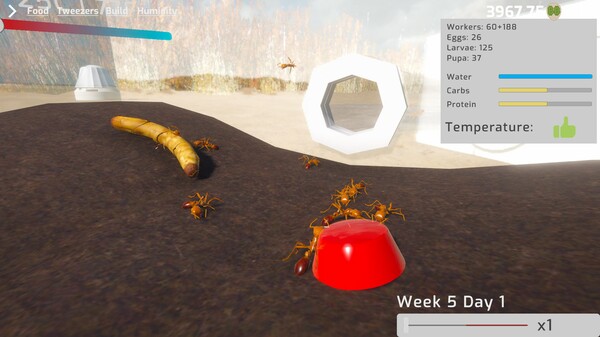 Ant Keeping Simulator gameplay screenshot