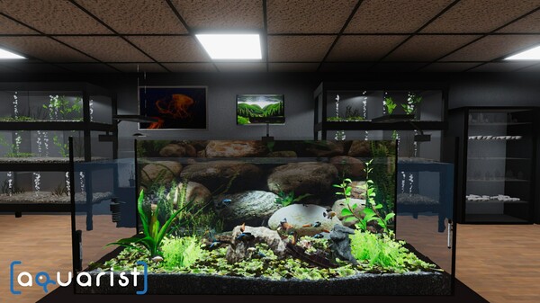 Aquarist gameplay screenshot