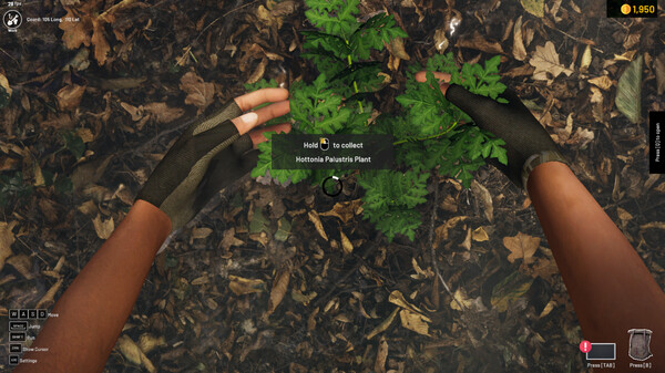 Aquascapers gameplay screenshot
