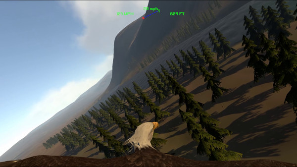 Aquila Bird Flight Simulator gameplay screenshot
