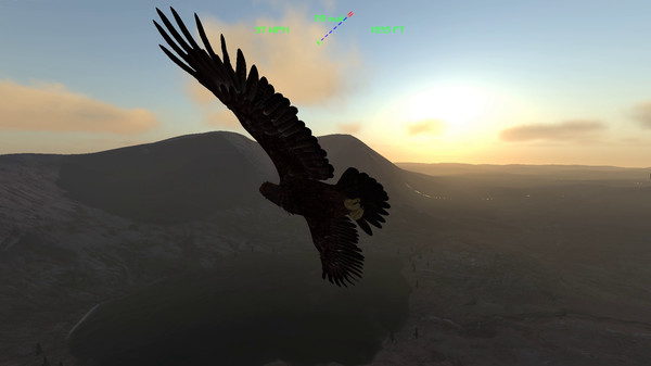 Aquila Bird Flight Simulator gameplay screenshot