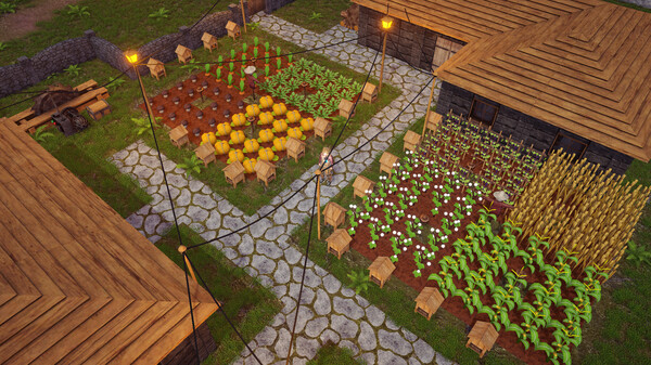 Backwoods Town gameplay screenshot