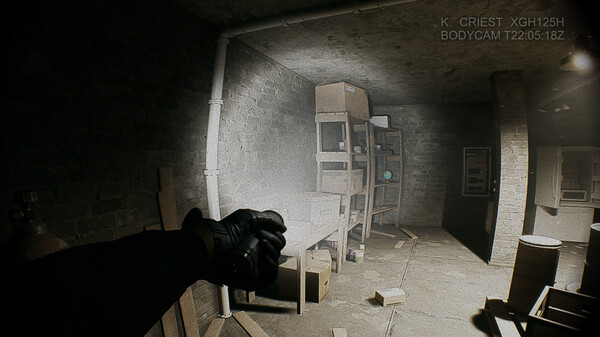 Baisu gameplay screenshot