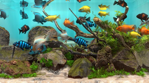 Behind Glass: Aquarium Simulator gameplay screenshot
