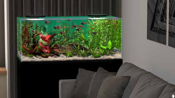 Behind Glass: Aquarium Simulator gameplay screenshot