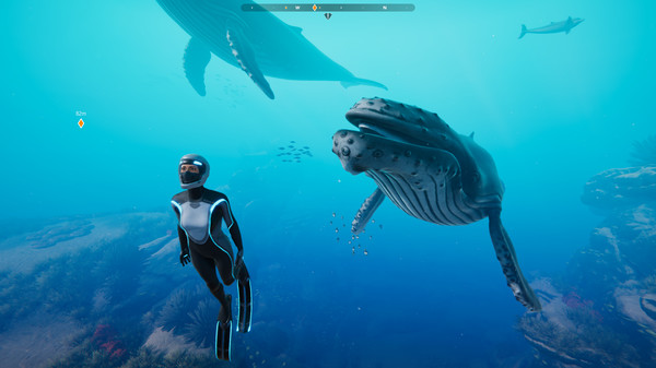 Beyond Blue gameplay screenshot