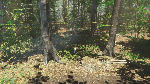 Bird gameplay screenshot
