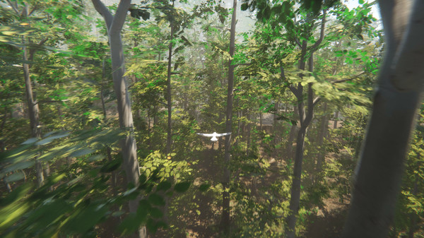 Bird gameplay screenshot