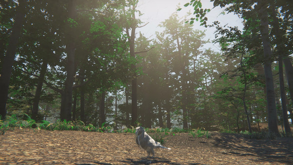 Bird gameplay screenshot