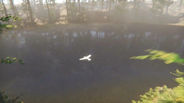 Bird gameplay screenshot