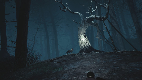 Blair Witch VR gameplay screenshot