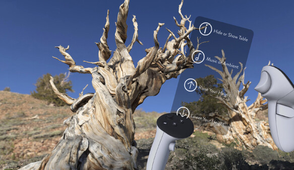 Blueplanet VR v2 gameplay screenshot