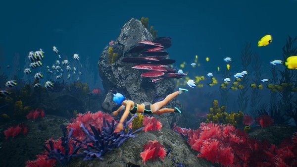 Capsa gameplay screenshot
