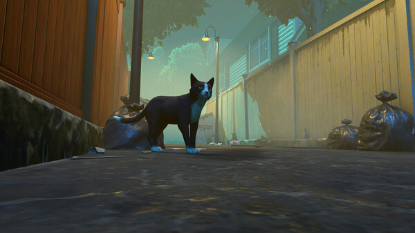 Copycat gameplay screenshot