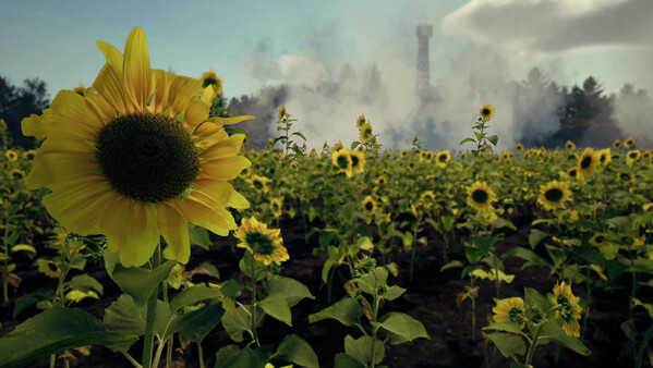 Death From Above: A Ukrainian Drone Warstory gameplay screenshot