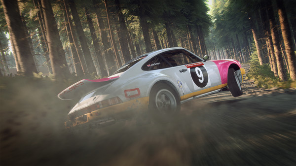 DiRT Rally 2.0 gameplay screenshot