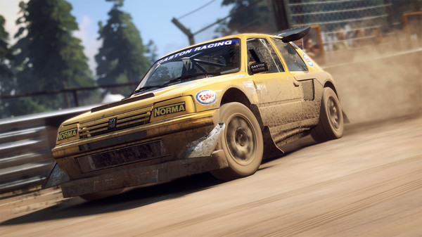 DiRT Rally 2.0 gameplay screenshot