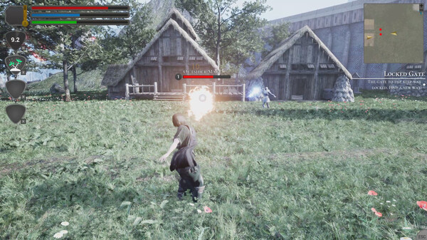 Divinus Vanitas gameplay screenshot