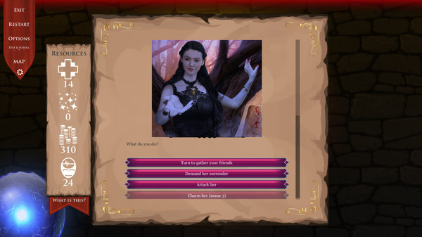DnD Adventure: Wizard's Choice gameplay screenshot