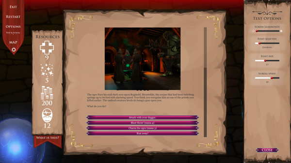DnD Adventure: Wizard's Choice gameplay screenshot