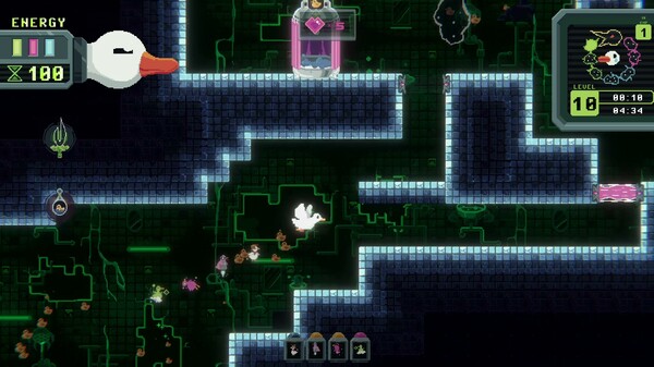 Duck Paradox gameplay screenshot