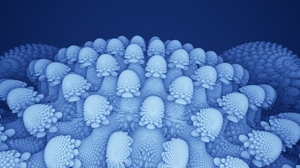 Emergence ᵠ gameplay screenshot