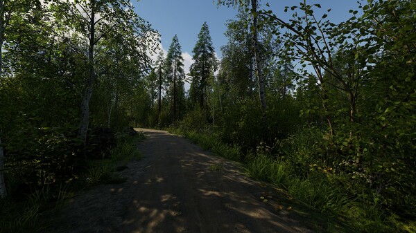 Finnish Cottage Simulator gameplay screenshot